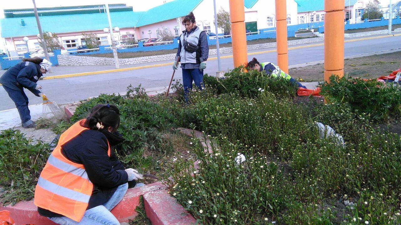 cooperativa altos verdes