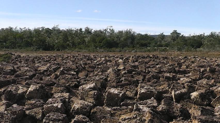 turbera kanchem