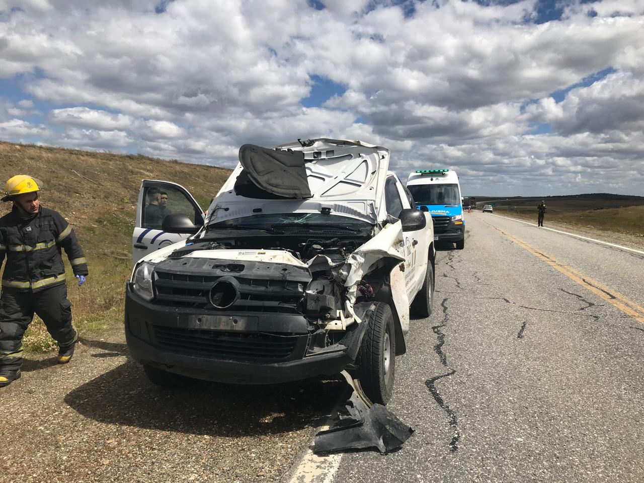 Choque contra un guanaco en Ruta 3