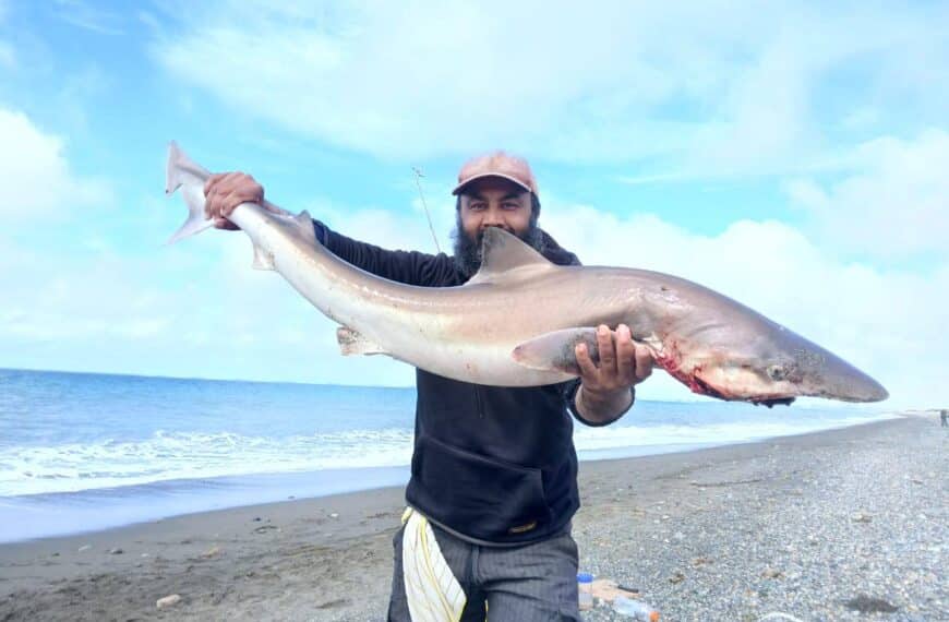 Pescaron un tiburón en la zona del Murtillar