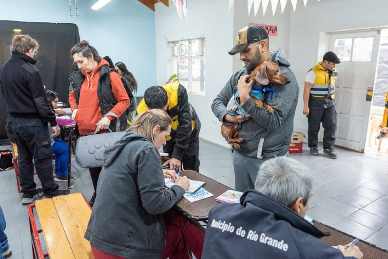 Este sábado habrá una jornada de tenencia responsable de mascotas