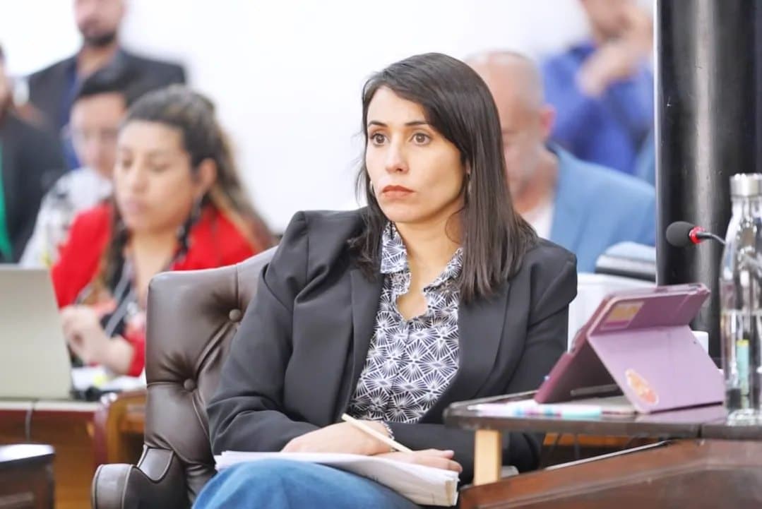 La Libertad Avanza logra tener una representante en el Concejo Deliberante de Ushuaia