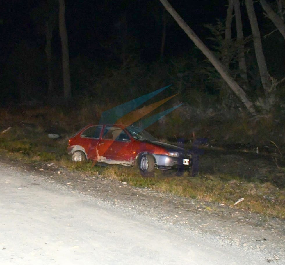 Conductor en estado de ebriedad atropelló a cinco menores en Tolhuin